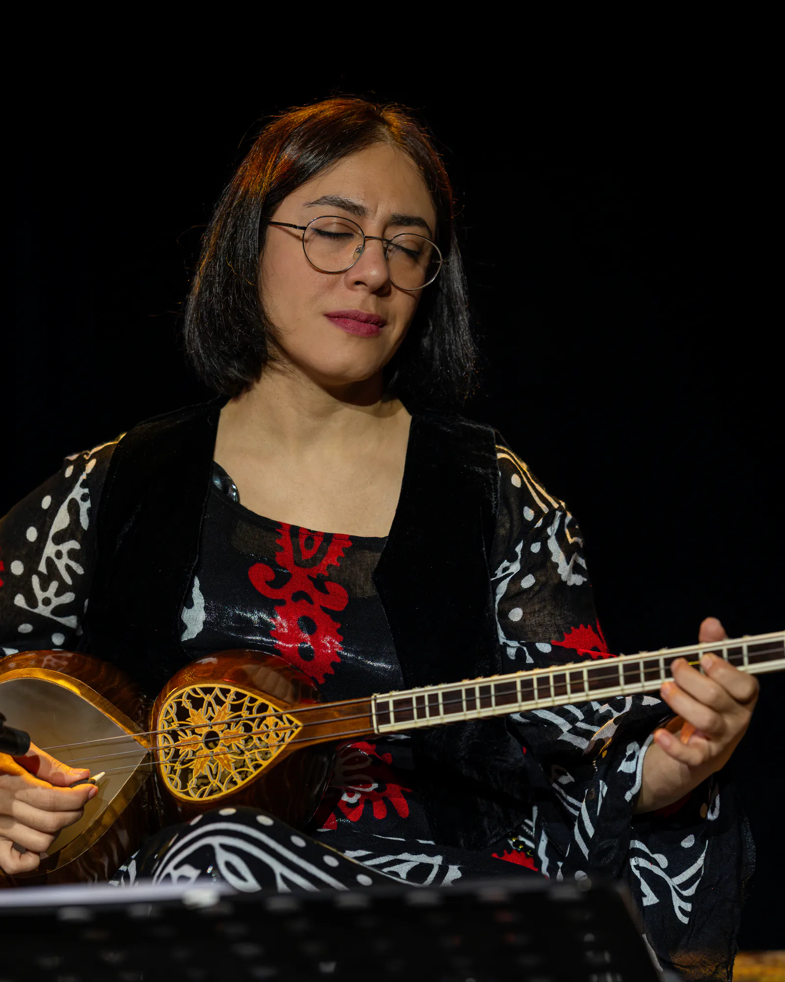Sheida Sanati playing Bass Tar during a live performance.